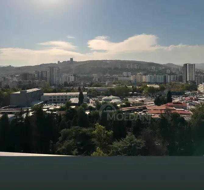 Apartments For Rent two-room 65м² 9/17 floor Tbilisi - photo 10