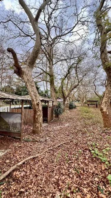 Продам земельный участок 2007м² Поти - изображение 6