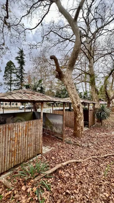 Продам земельный участок 2007м² Поти - изображение 7