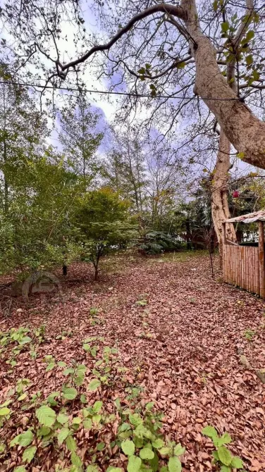 Продам земельный участок 2007м² Поти - изображение 5