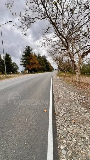 Продам земельный участок 2007м² Поти - изображение 3