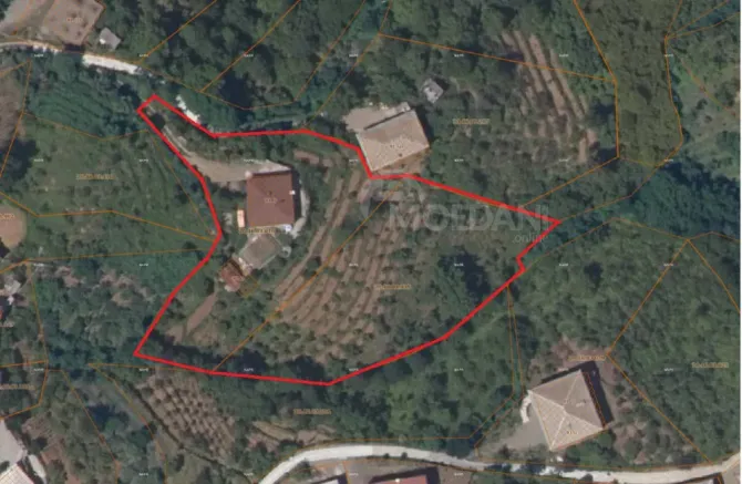Продам Дом 5000м² Kobuleti - photo 2