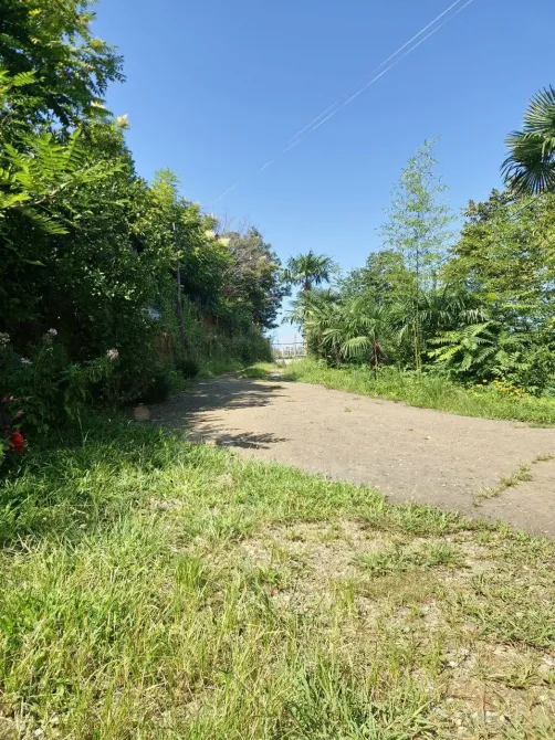 სახლი 5000м² ქობულეთი - photo 3