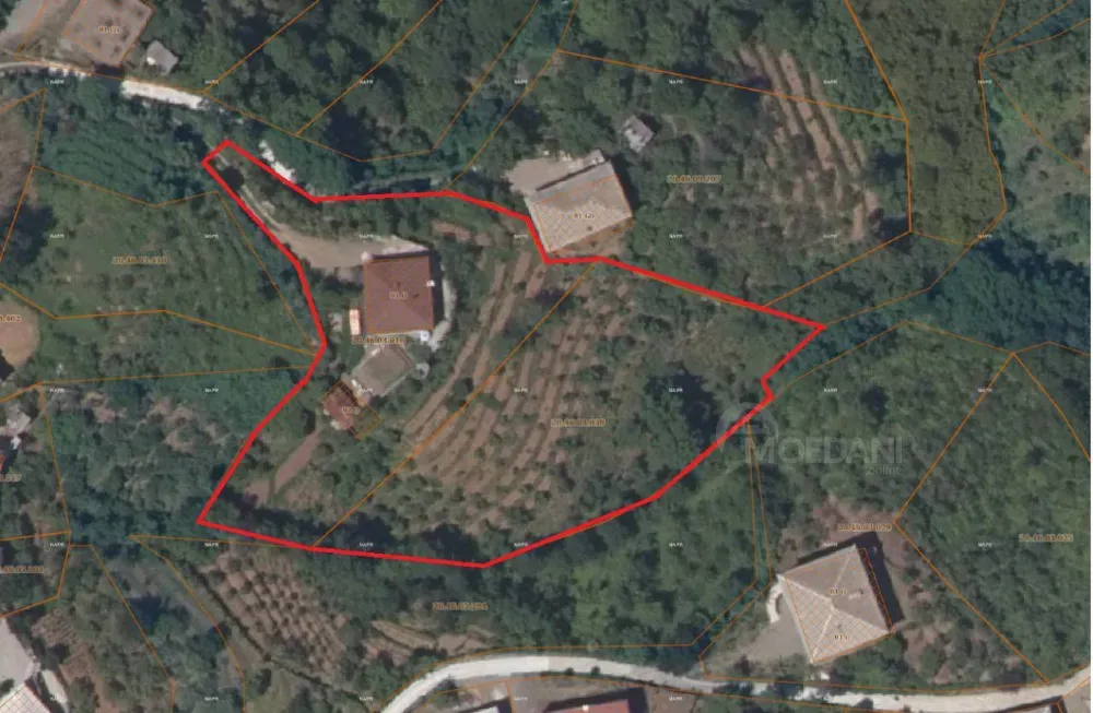 სახლი 5000м² ქობულეთი - photo 2