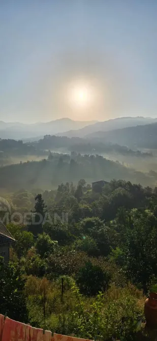 სახლი 5000м² ქობულეთი - photo 10