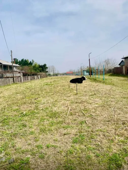 Продам земельный участок 2152м² Поти - изображение 4