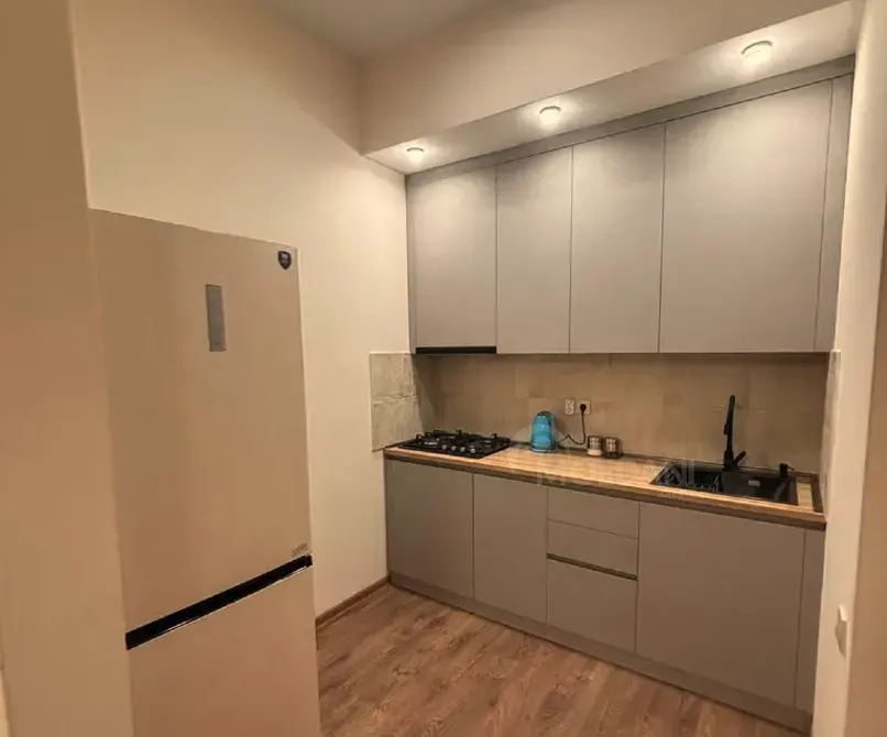 Apartments For Rent three-room 85м² 20/24 floor Tbilisi - photo 2