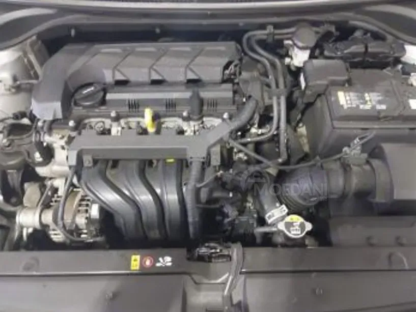 Hyundai Accent 2021 თბილისი - photo 6