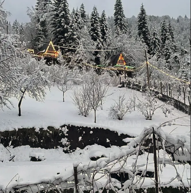 ქირავდება დღიურად აგარაკი 30м² ქობულეთი - photo 2