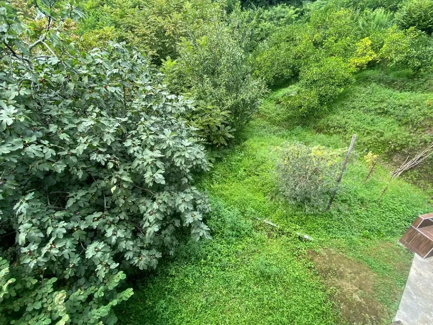 სახლი 2748м² ქობულეთი - photo 14