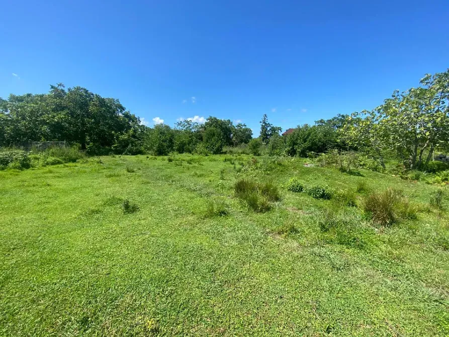 Продам земельный участок 1101м² Kobuleti - photo 4