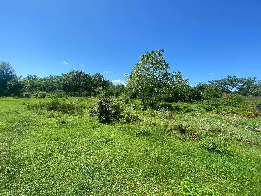 Продам земельный участок 1101м² Kobuleti - photo 3