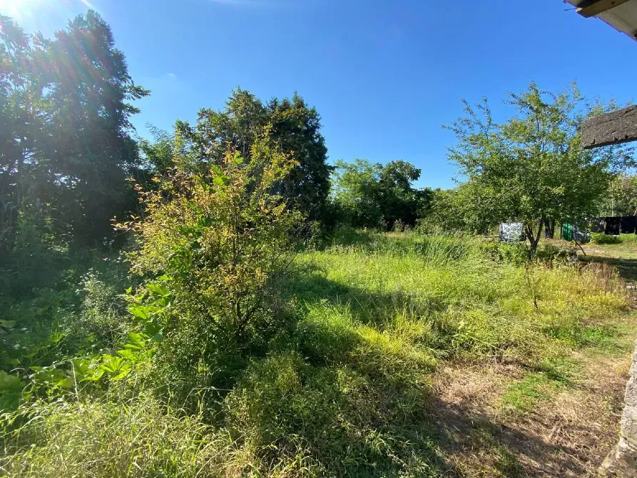 იყიდება მიწის ნაკვეთი 1416м² ქობულეთი - photo 3