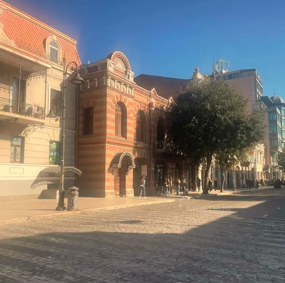 Специальное коммерческое помещение на продажу в Чугурети Тбилиси - изображение 7