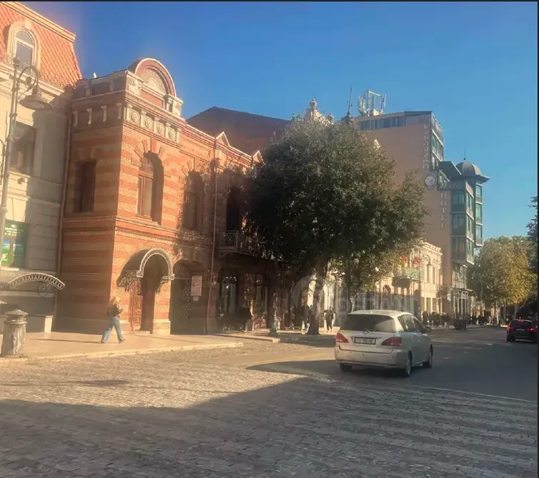 Специальное коммерческое помещение на продажу в Чугурети Тбилиси - изображение 9