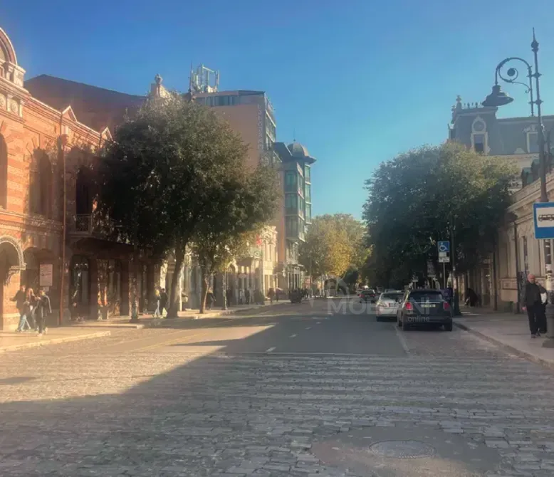 Специальное коммерческое помещение на продажу в Чугурети Тбилиси - изображение 8