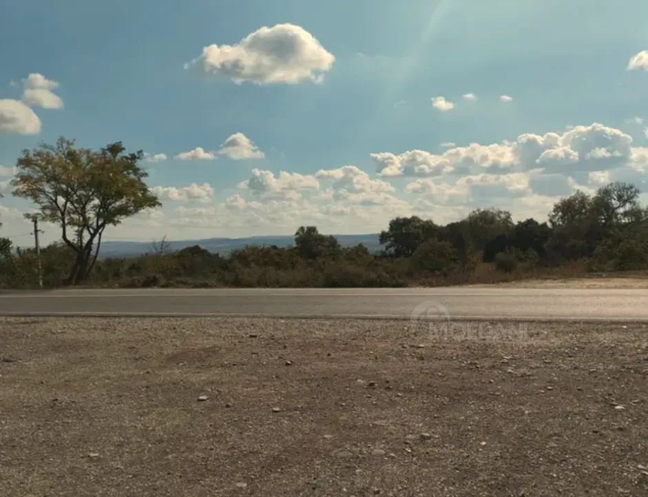 Продам земельный участок 4663м² Сагареджо - изображение 4