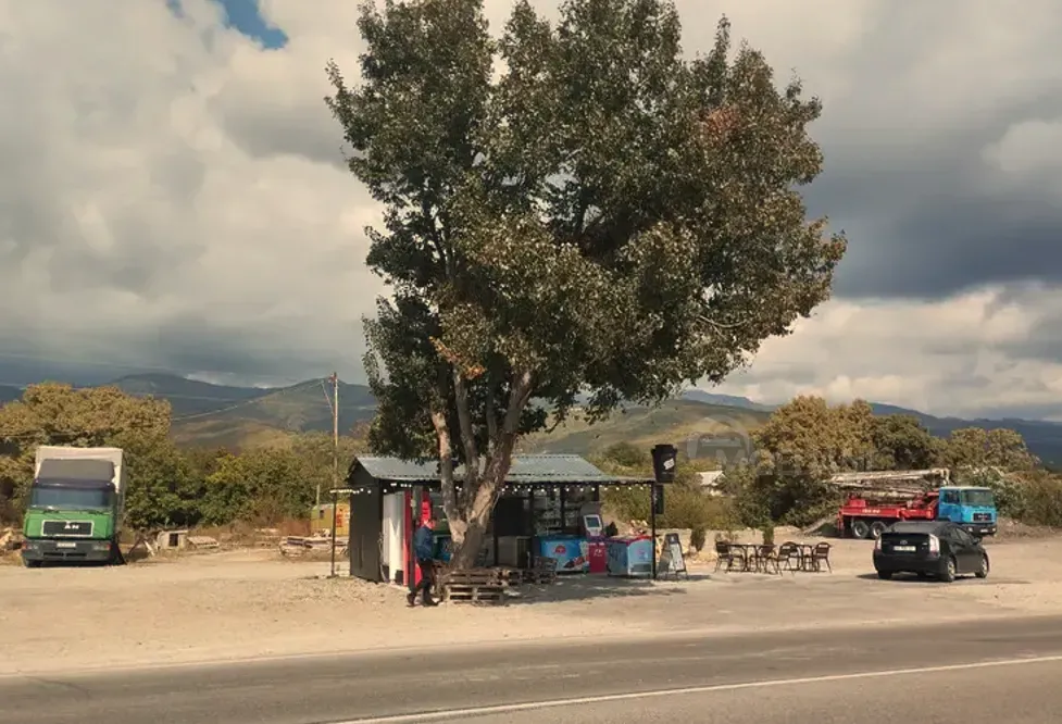 Продам земельный участок 4663м² Сагареджо - изображение 10