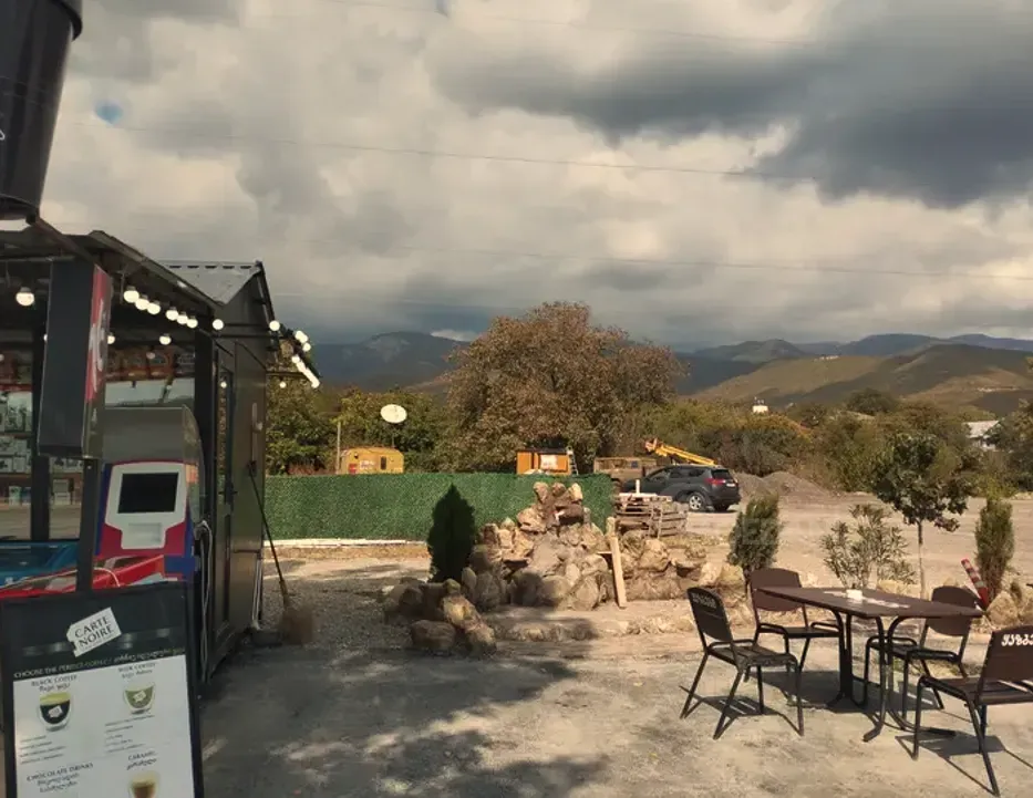 Продам земельный участок 4663м² Сагареджо - изображение 6