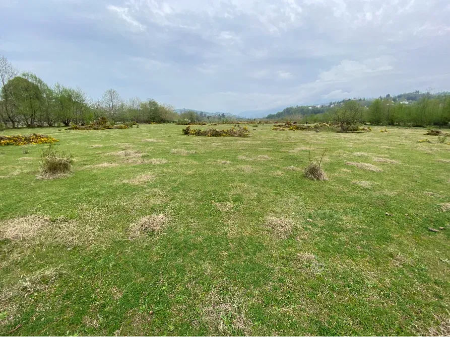 იყიდება მიწის ნაკვეთი 10000м² ქობულეთი - photo 3