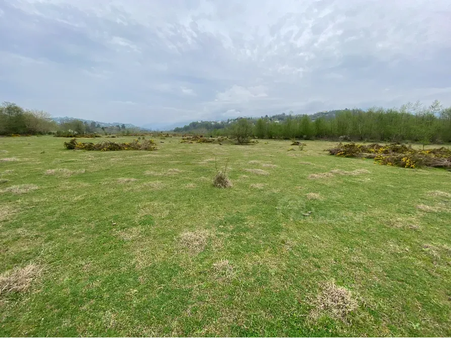 იყიდება მიწის ნაკვეთი 10000м² ქობულეთი - photo 4