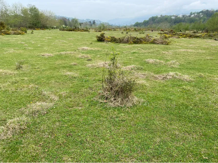 იყიდება მიწის ნაკვეთი 10000м² ქობულეთი - photo 1