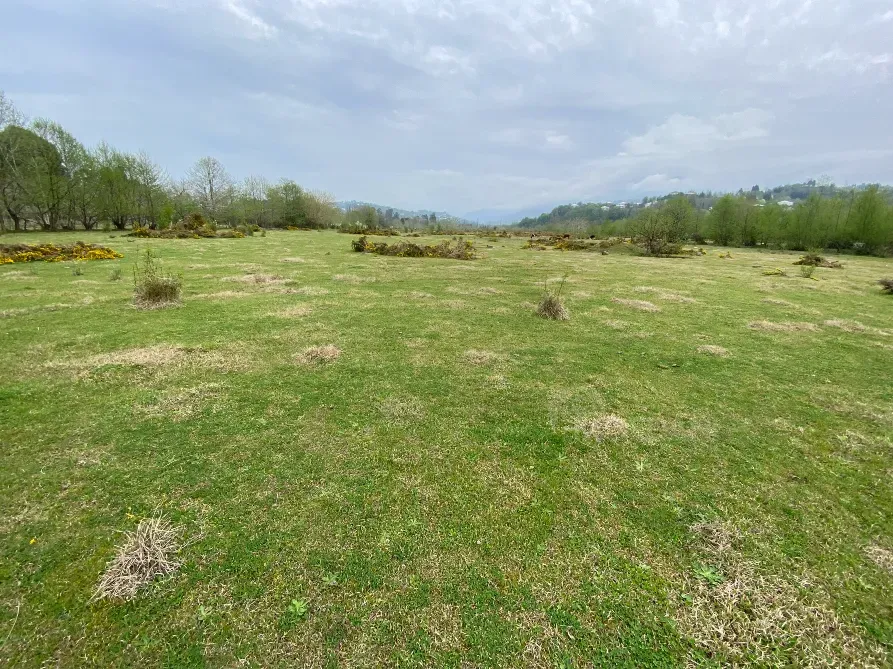 იყიდება მიწის ნაკვეთი 10000м² ქობულეთი - photo 5