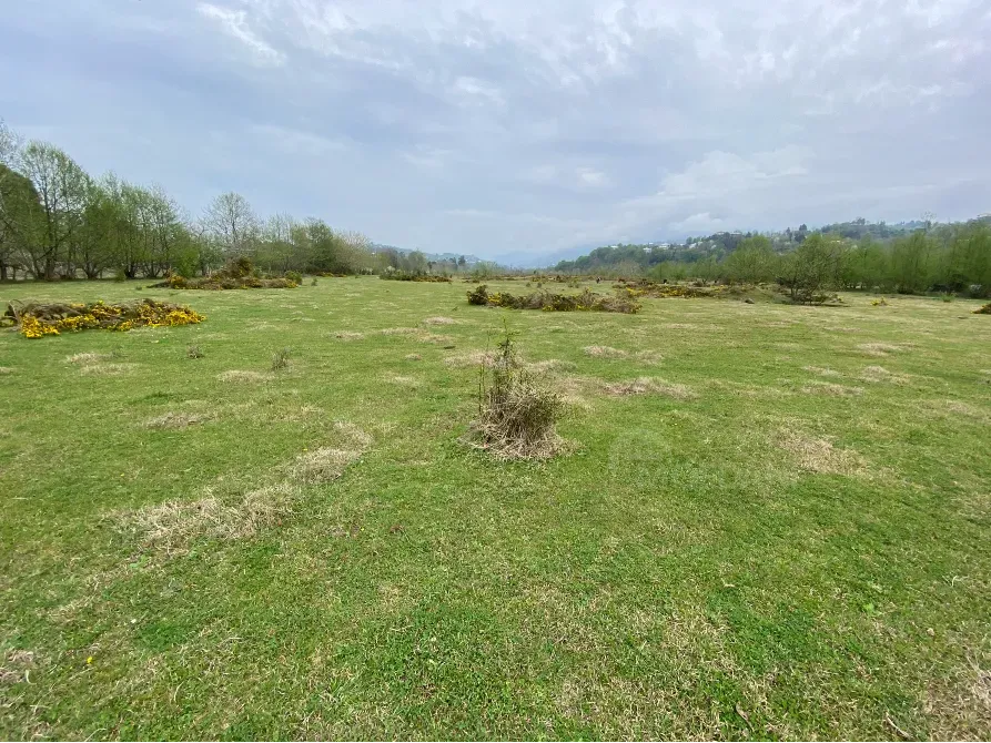 იყიდება მიწის ნაკვეთი 10000м² ქობულეთი - photo 2