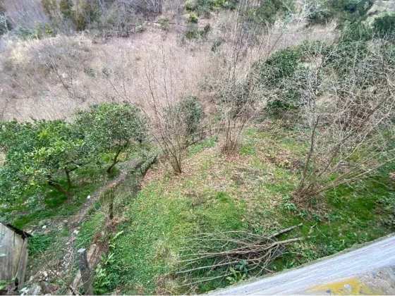 Იყიდება სახლი 1664м² Kobuleti