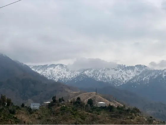 Იყიდება სახლი 4203м² Kobuleti