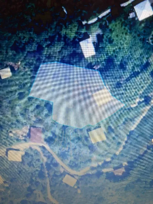 სახლი 4203м² ქობულეთი - photo 12