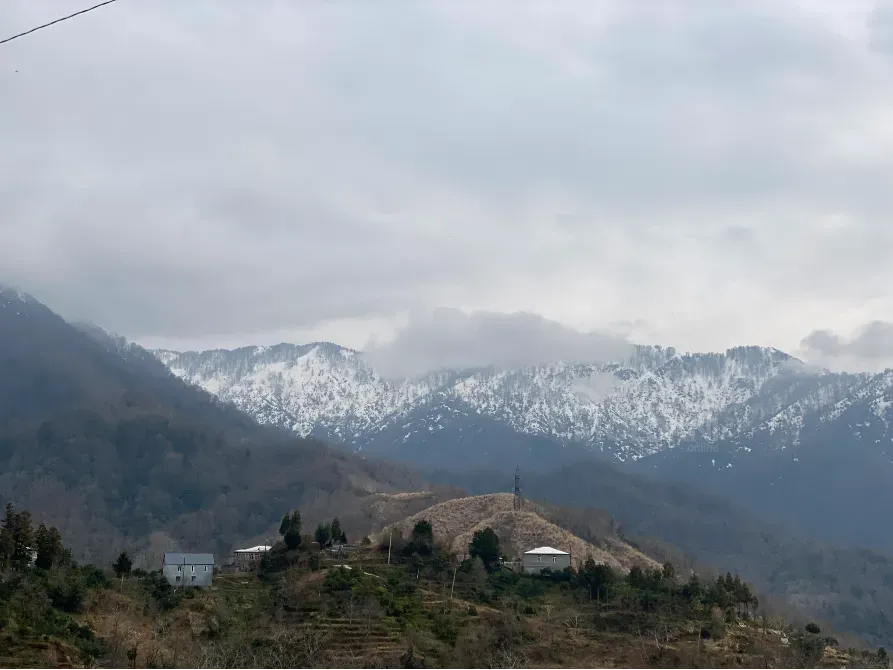 სახლი 4203м² ქობულეთი - photo 2