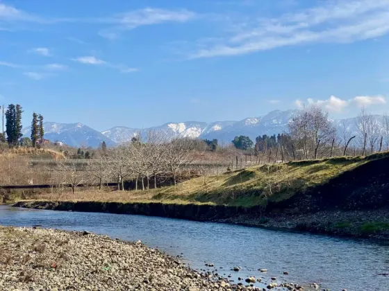 Იყიდება მიწის ნაკვეთი 5690м² Kobuleti