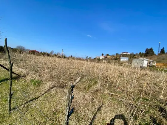 Იყიდება მიწის ნაკვეთი 5690м² Kobuleti