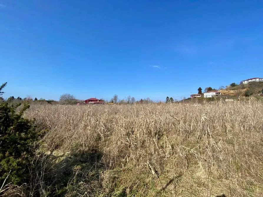 იყიდება მიწის ნაკვეთი 5690м² ქობულეთი - photo 4