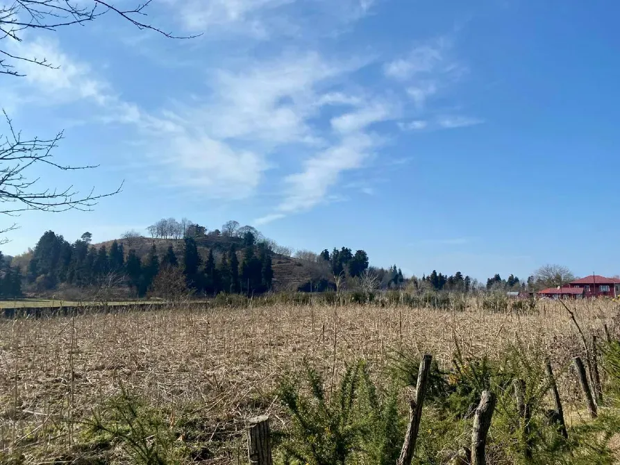 იყიდება მიწის ნაკვეთი 5690м² ქობულეთი - photo 3