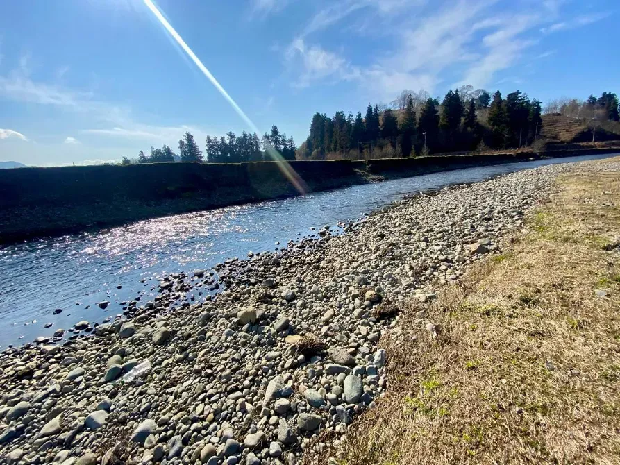 იყიდება მიწის ნაკვეთი 5690м² ქობულეთი - photo 6