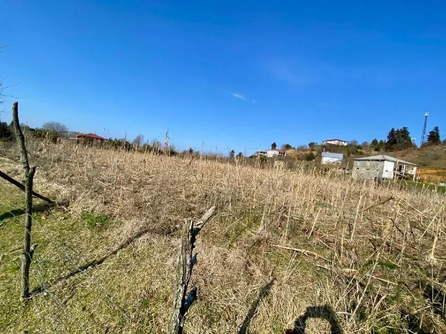 იყიდება მიწის ნაკვეთი 5690м² ქობულეთი - photo 5