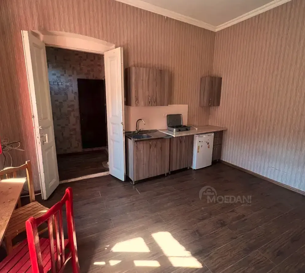Apartments For Rent one-room 24м² 2/2 floor Tbilisi - photo 7