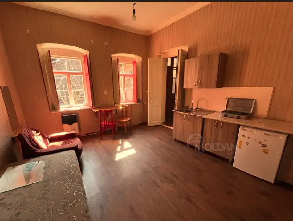 Apartments For Rent one-room 24м² 2/2 floor Tbilisi - photo 3