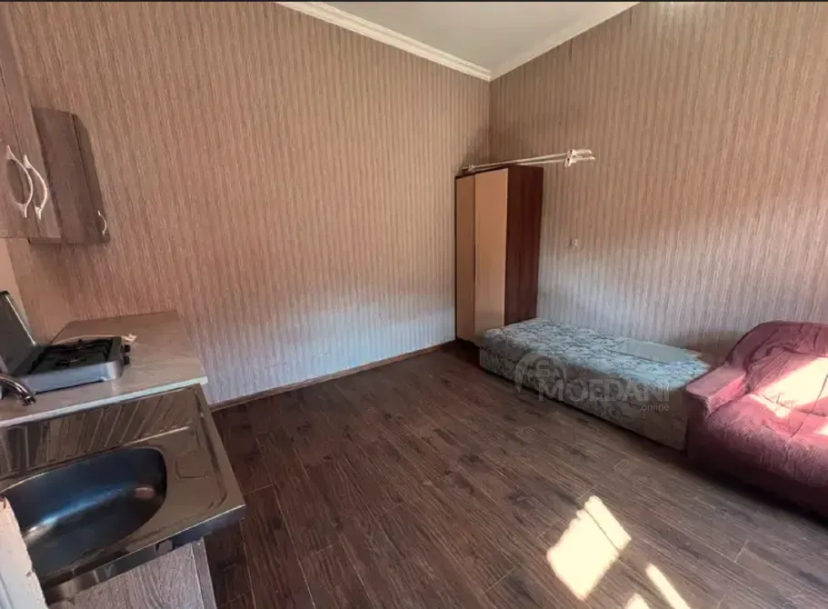 Apartments For Rent one-room 24м² 2/2 floor Tbilisi - photo 8