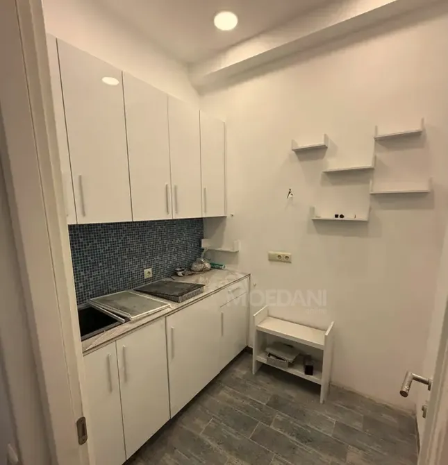 Офисное коммерческое помещение в аренду в Вере Тбилиси - изображение 5