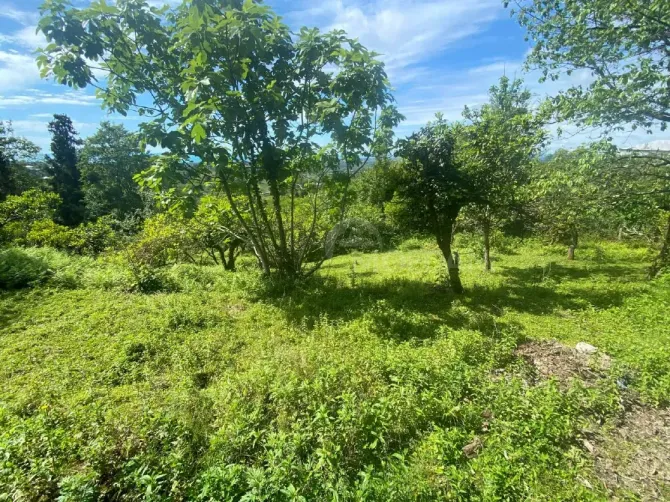 Продам Дом 3000м² Kobuleti - photo 15