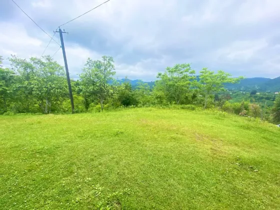 Продам дом 3000м² Kobuleti