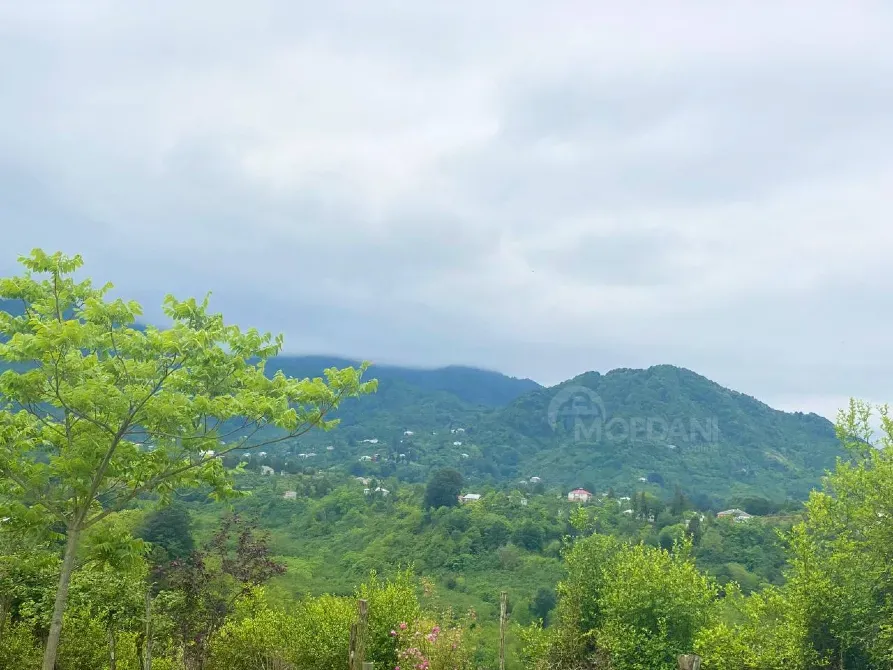 სახლი 3000м² ქობულეთი - photo 5