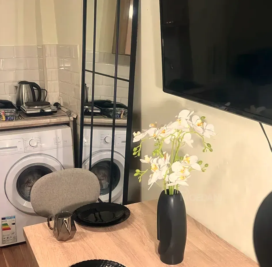 ქირავდება 1 ოთახიანი ბინა 25მ² 1/8 სართ თბილისი - photo 4