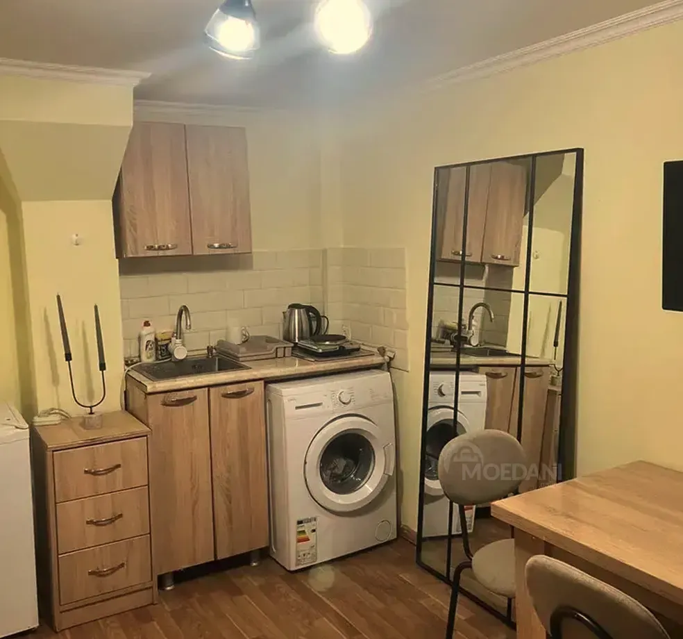 ქირავდება 1 ოთახიანი ბინა 25მ² 1/8 სართ თბილისი - photo 5