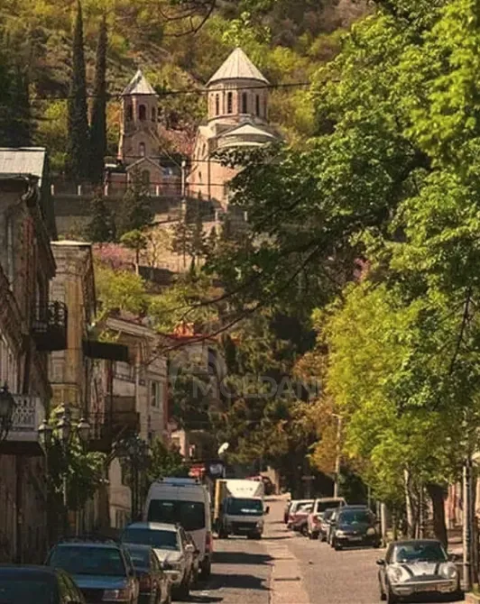 იყიდება 3 ოთახიანი ბინას 55მ² 1/2 სართ თბილისი - photo 8