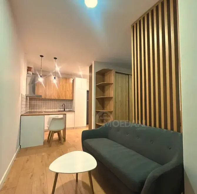 Apartments For Rent one-room 39.3м² 15/16 floor Tbilisi - photo 7