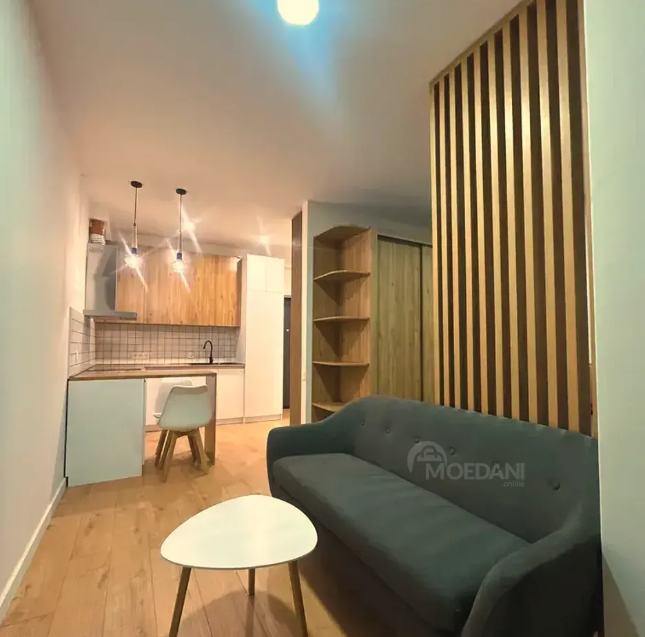 Сдам 1-комн. квартиру 39.3м² 15/16 эт. Тбилиси - изображение 7